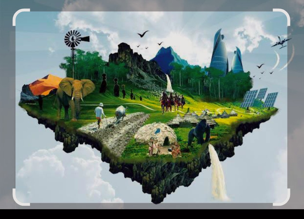 Journée internationale de la biodiversité : l’appel à agir localement pour un impact mondial