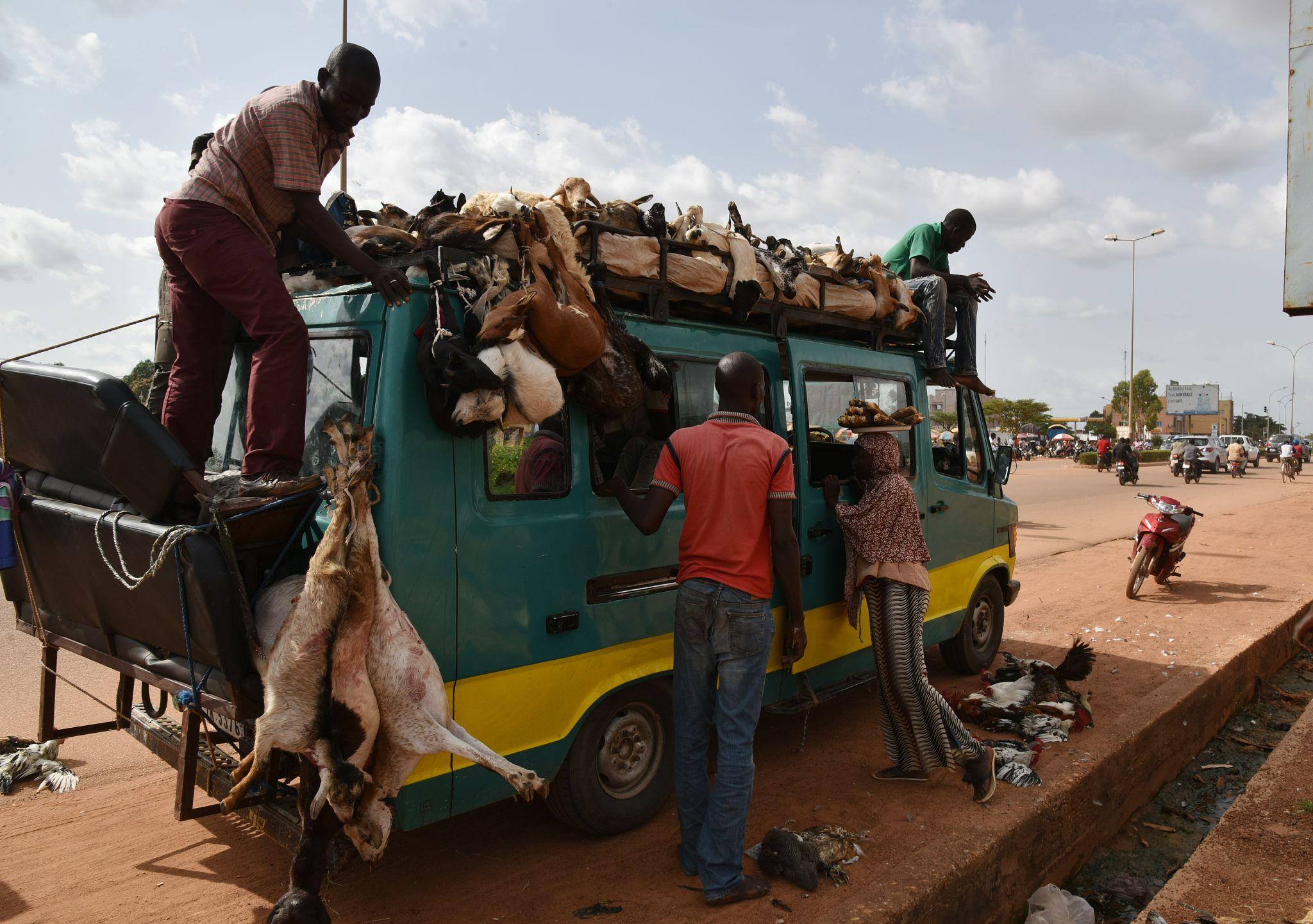 Burkina Faso : la suspension des exportations de bétail divise le pays avant l’Aïd al-Adha
