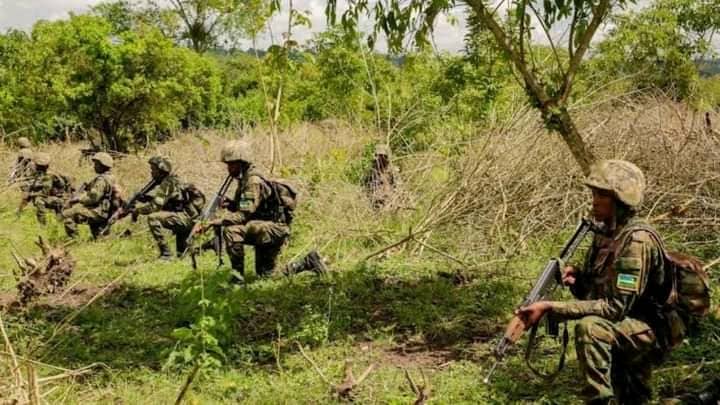 RDC : Human Rights Watch accuse le Rwanda et l’AFC/M23 de crimes de guerre dans des camps du Nord-Kivu
