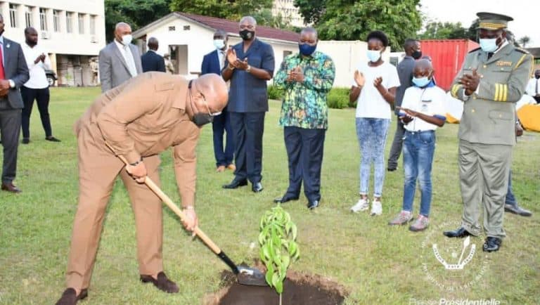 RDC : plus de 1,3 million de dollars pour reboiser 750 hectares, mais où sont passés les arbres ?