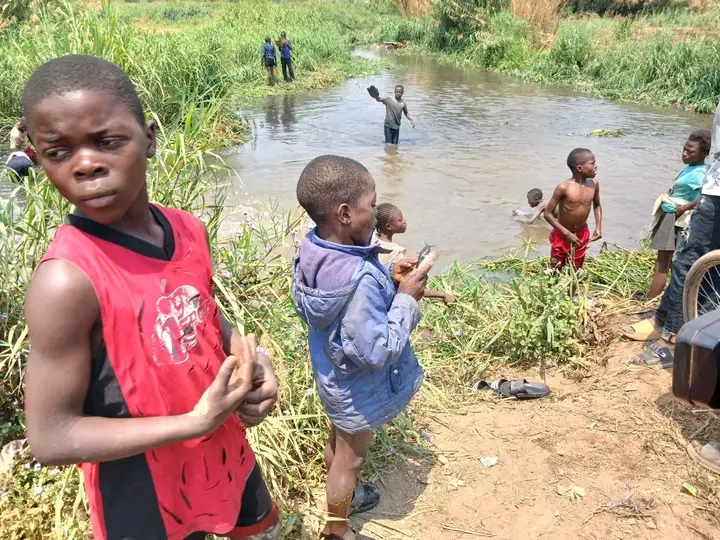 Lubumbashi : Des poissons retrouvés morts dans la rivière, alerte à la consommation.