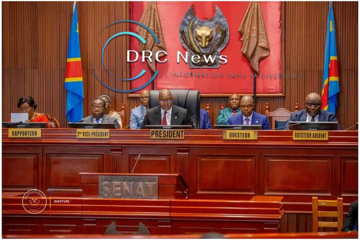 RDC : Le Sénat met en place une cellule de crise face à l&rsquo;avancée du&nbsp;M23/AFC