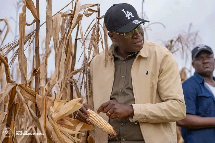 Haut-Katanga : Daniel Mukoko Samba appelle à lever les freins au développement agricole